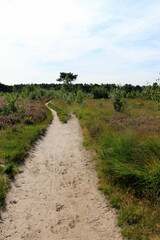 hiking path, Cross border park De Zoom, Kalmthout, Belgium, the Netherlands