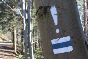 Znak niebieskiego szlaku z wykrzyknikiem namalowany na korze drzewa w lesie.