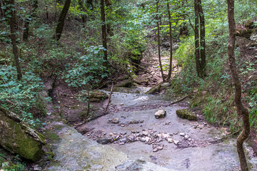 Stream Bed in Wooded Area of  the Duck River Complex near Columbia, TN, USA