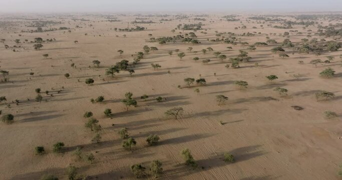 Aerial fly over. Typical landscape of the Sahel in the Sahara Desert, Senegal. Drought, Climate Change, Desertification