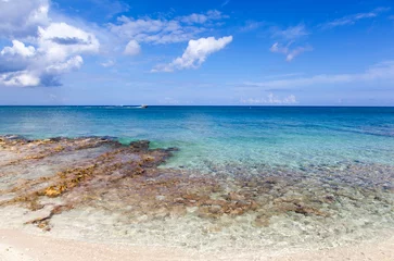 Photo sur Plexiglas Anti-reflet Plage de Seven Mile, Grand Cayman Grand Cayman Island Seven Mile Beach Colors