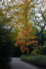Vibrant and tranquil nature in Denmark