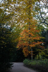 Vibrant and tranquil nature in Denmark