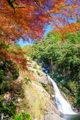 秋の見帰りの滝　佐賀県唐津市　Autumn Mikaeri Waterfall. Saga Pref, Karatsu City.