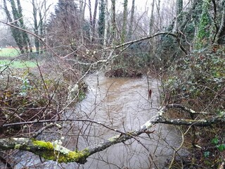 Río gallego desbordado en invierno, Galicia