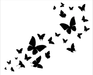 Keuken foto achterwand Grunge vlinders butterflies