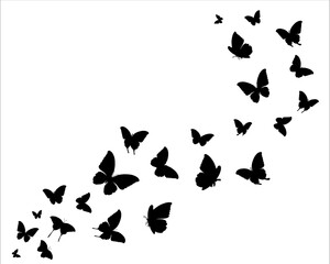 butterflies silhouettes set