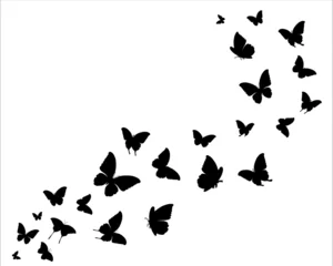 Fotobehang Grunge vlinders butterflies silhouettes set