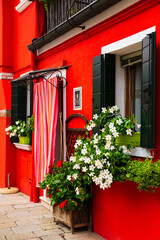 Bright traditional red house on Burano island, Venice, Italy. Colorful curtain on door, wooden old style windows with shutters and Mandevilla flowers on window sills