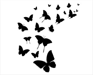 butterfly silhouettes vector