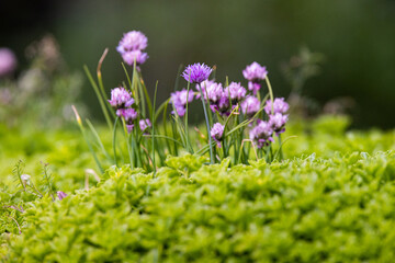 .Foto: Ulrich Perrey