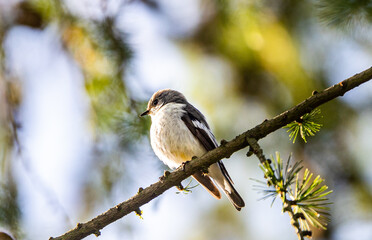 .Foto: Ulrich Perrey