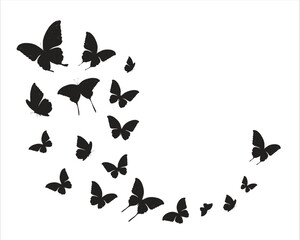 butterflies