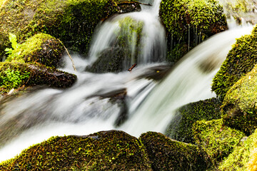 Long exposure of a waterfall cascading over the rocks in the Great Smoky Mountains National Park