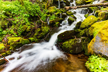 Waterfall cascading over the rocks in the Great Smoky Mountains National Park