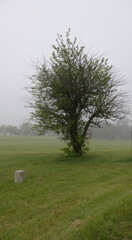 Gettysburg battlefield on a foggy morning, Pennsylvania