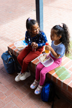 Two biracial girls enjoy a lunch break outdoors at school, sharing smiles and sandwiches