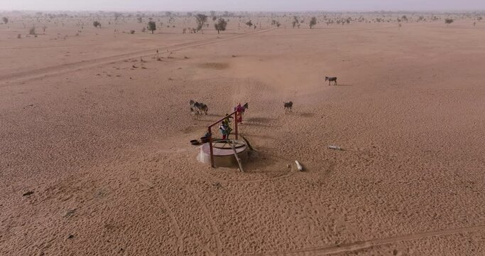 Aerial panning. Three black woman drawing water from a deep well with the help of donkeys in the barren landscape of the Sahel, Sahara Desert, Senegal. Drought, Climate Change, Desertification