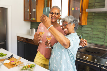 Senior African American woman and senior biracial woman share a joyful toast in a kitchen