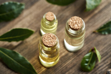 Three bottles of aromatherapy essential oil with fresh bay leaf on a table