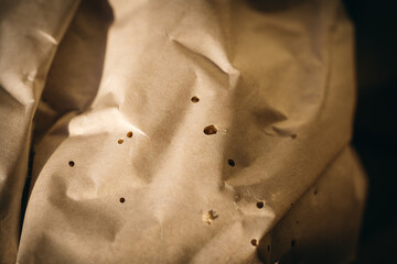 holes in paper bag made by Stegobium paniceum known as bread beetle or biscuit beetle. Pest in houses, stores and warehouses. Beetle on cereals. Drugstore beetle 