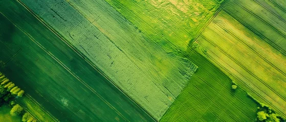 Fototapeten Aerial View of a Green Field © DigitalMuseCreations