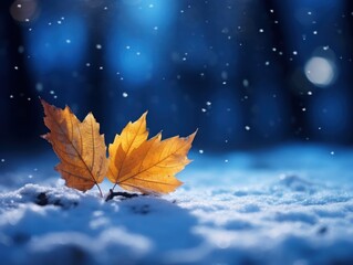 two leaves in the snow
