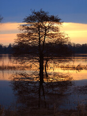 Abendstimmung am kleinen Pl&ouml;ner See