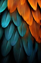 a close up of feathers