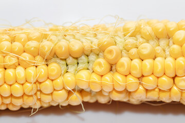 Corn on the cob isolated on white
