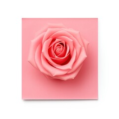 Rose blank post it sticky note isolated on white background
