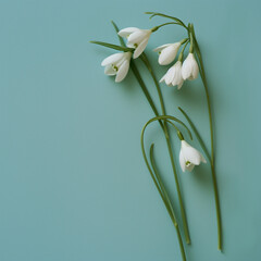 Snowdrops on blue background.Minimal creative Harbingers of spring and Easter advertise concept with copy space.Top view,flat lay.Generative AI