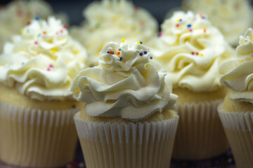 Multiple fresh vanilla birthday cupcakes with white paper wrappers, whipped cream frosting or icing, and multicolored sprinkles on top. The delicious vegan cupcakes are in a cooler for sale. 