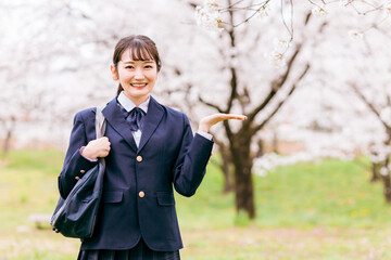 満開の桜の下の中学生・高校生・女子高生・女子高校生（案内・こちら・提案）
