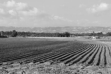 Agriculture empty plowed cultivated field in black and white