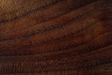 Walnut wood texture. Its scientific name is juglans nigra