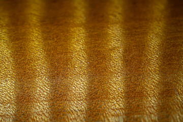 Yellow stained flamed tiger maple wood texture