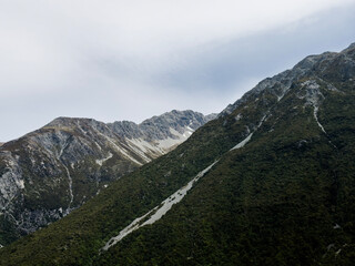 Fototapeta na wymiar Detail, Mount Cook National Park, New Zealand