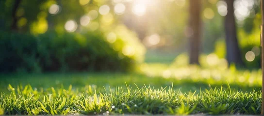 Papier Peint photo Herbe  A fresh spring sunny garden background of green grass and blurred foliage bokeh.