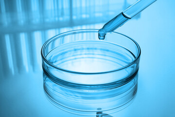 Dropping reagent into Petri dish with liquid on table, toned in blue. Laboratory glassware