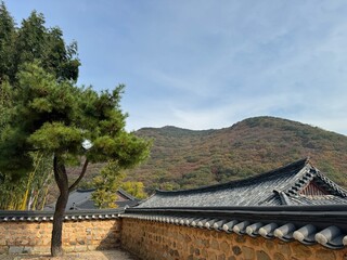 Fototapeta premium korean architecture