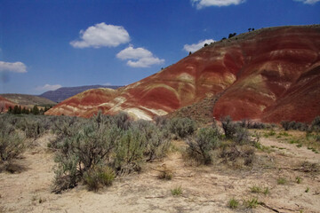 Striated red and brown paleosols in the Painted Hills