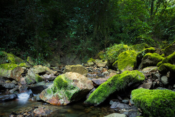 Río cruzando entre rocass y árboles