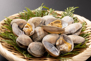 ［中国産］あさり