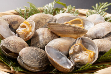 ［中国産］あさり