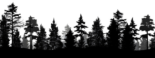 pine tree silhouette - obrazy, fototapety, plakaty