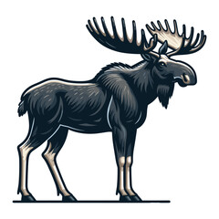 Fototapeta premium Moose buck elk full body vector illustration, zoology illustration, wild animal moose design template isolated on white background