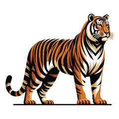 Fototapeta na wymiar Wild tiger full body vector illustration, zoology illustration, animal predator big cat design template isolated on white background
