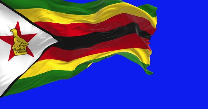 Close-up view of the Zimbabwe national flag waving isolated on blue background