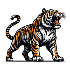 Obraz premium Wild roaring tiger full body vector illustration, zoology illustration, animal predator big cat design template isolated on white background